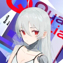 Qualia ジャケット